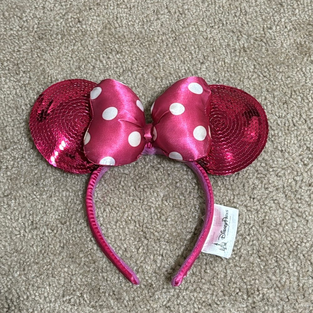 MINNIE MOUSE EARS FROM WALT DISNEY WORLD PARK